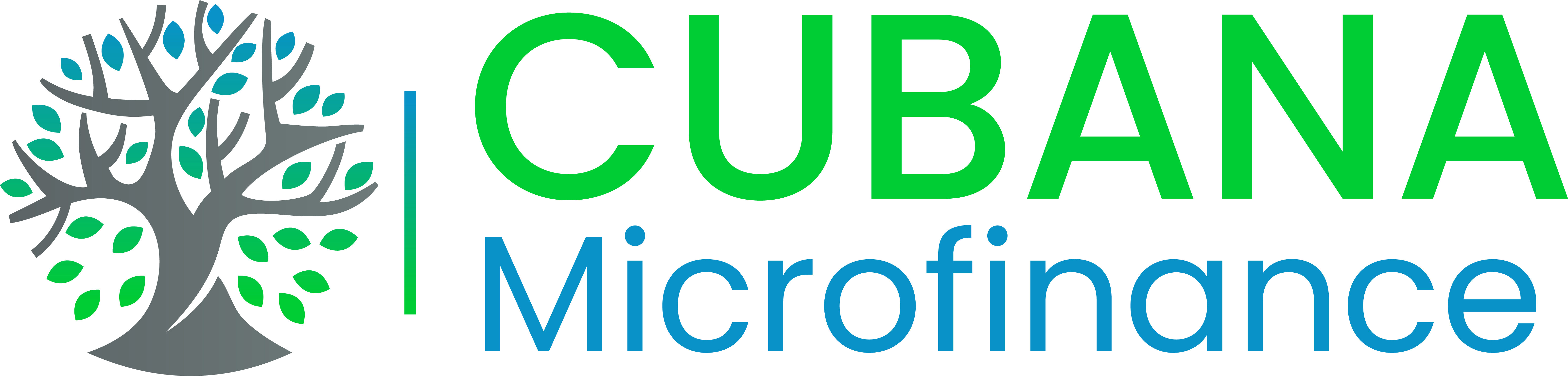 Cubana Microfinance Co LTD